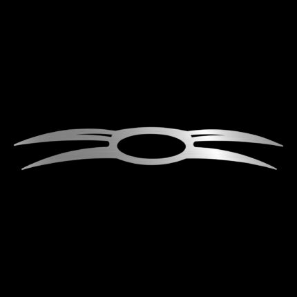 Ford Cargo Ön Logo Etrafı Kromu (Çift Kanatlı Model) Ford tır aksesuarı paslanmaz krom dış aksesuar Alkotek Krom
